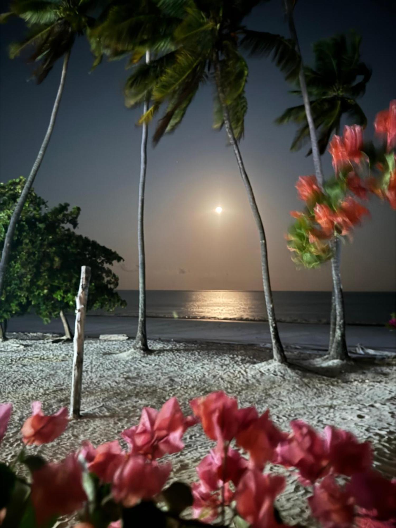 Zanzinite Beach Spa Hotel Zanzibar Εξωτερικό φωτογραφία